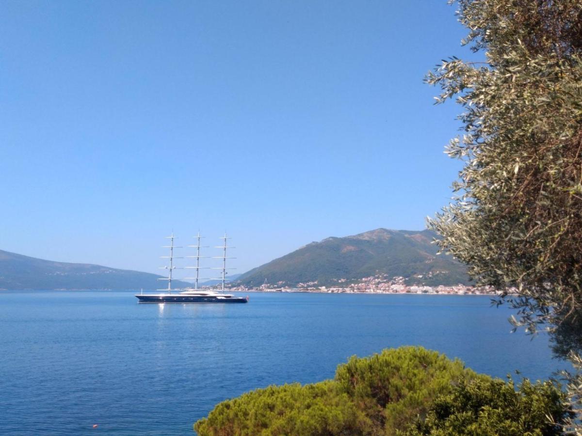 Olive Tree Apartments Tivat Ngoại thất bức ảnh