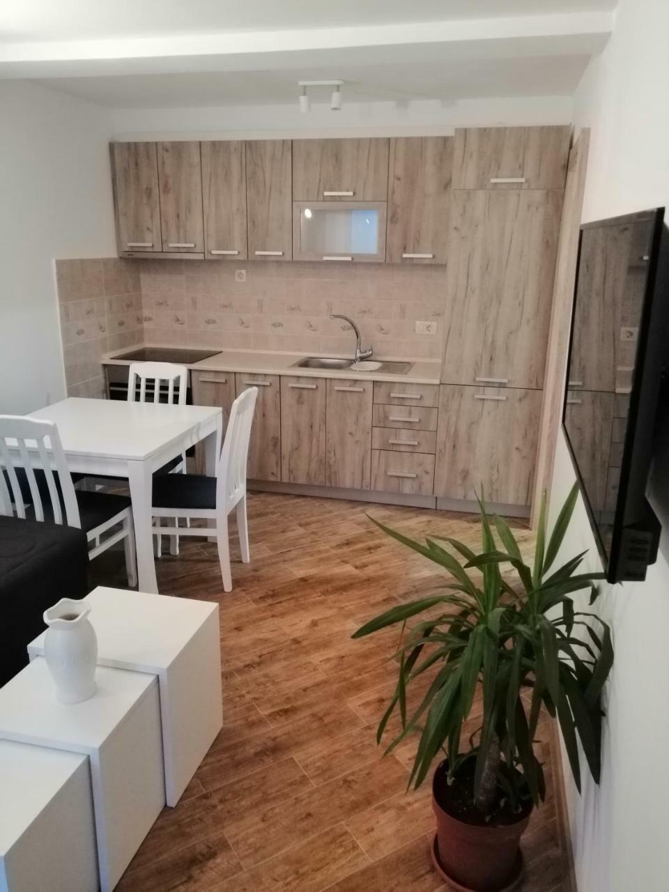 Olive Tree Apartments Tivat Ngoại thất bức ảnh