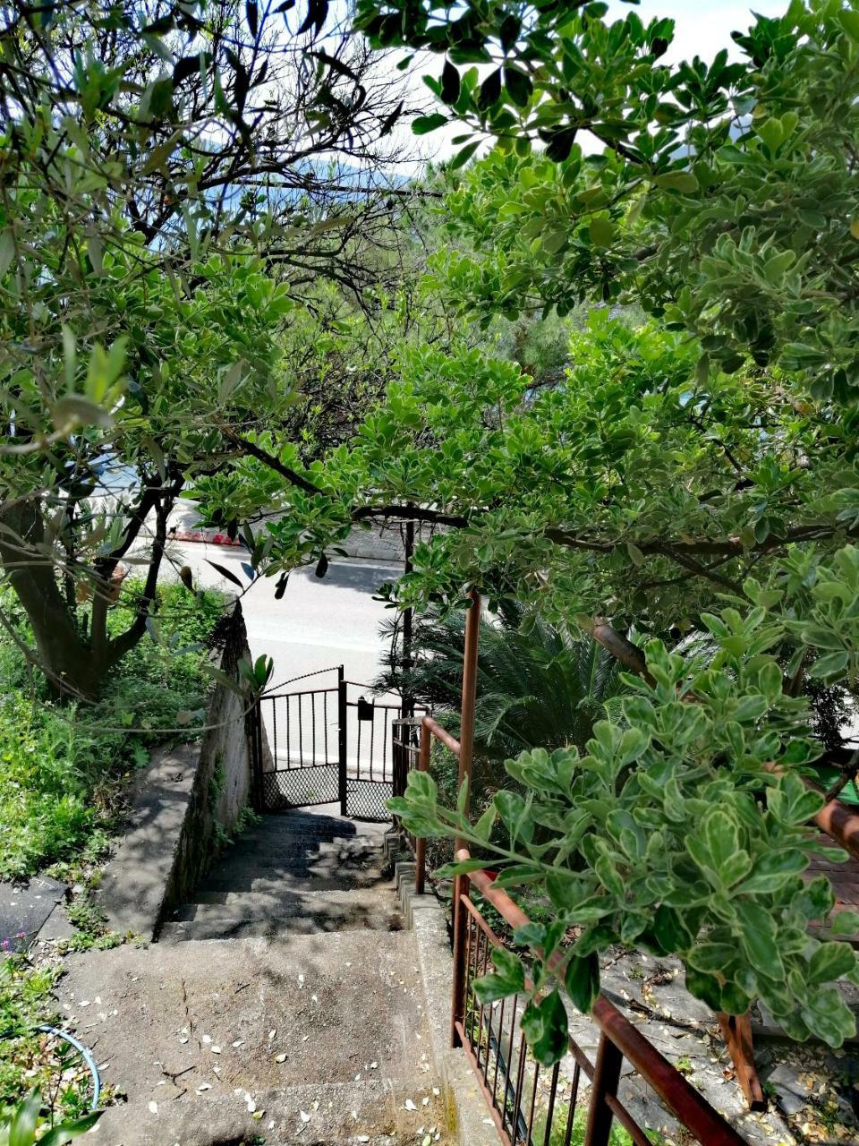Olive Tree Apartments Tivat Ngoại thất bức ảnh