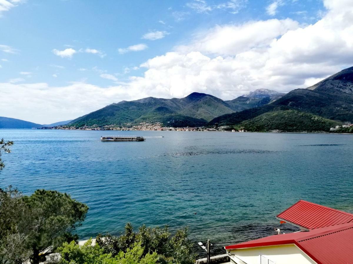 Olive Tree Apartments Tivat Ngoại thất bức ảnh